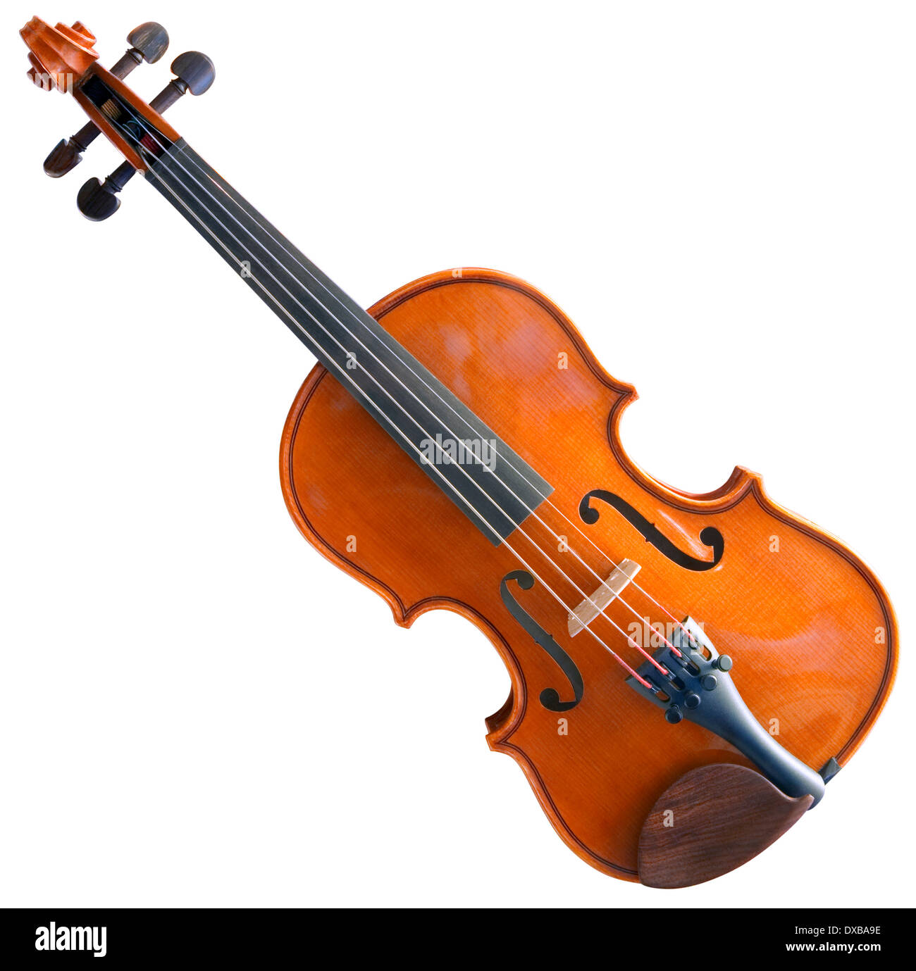Violin with clipping path isolé sur fond blanc Banque D'Images