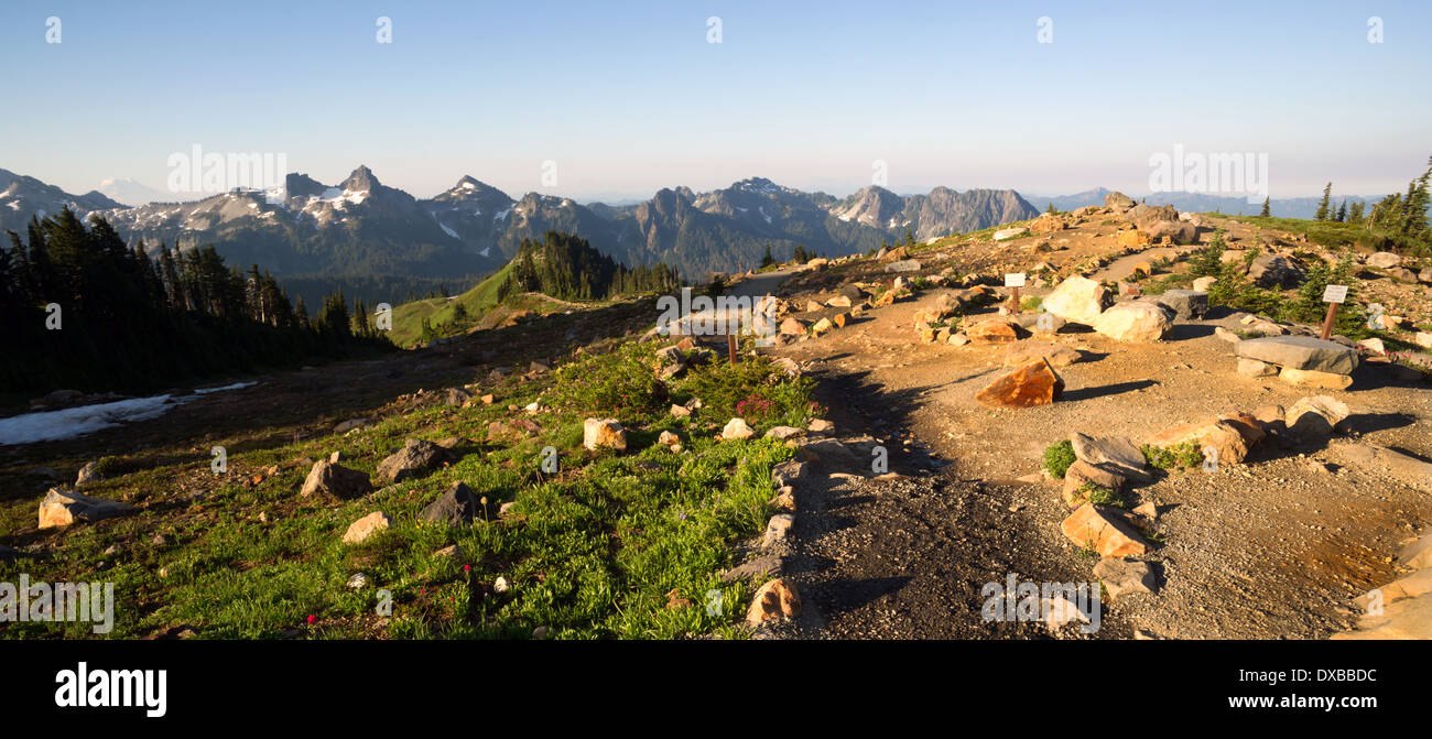 Le Mont Adams est visible derrière le Tatoosh Range vue depuis le Mont Rainier Banque D'Images