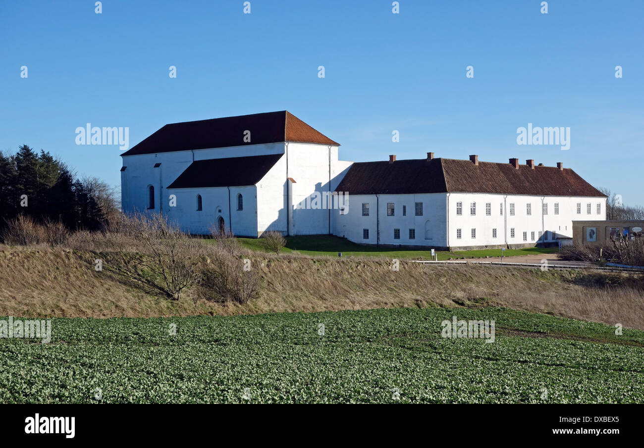 Børglum Kloster (Abbaye) sur Børglum dans Klostervej Børglum entre Løkken Vrå et dans le Jutland au Danemark Banque D'Images