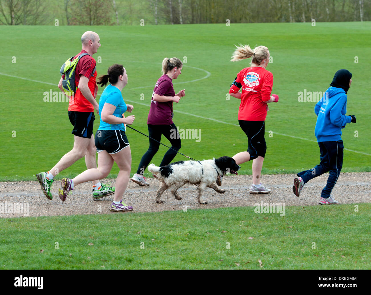 L'Université de Warwick, Coventry, West Midlands, England, UK. 23 mars 2014. Porteur, y compris un chien dans un sport Relief Mile course à l'Université de Warwick. Crédit : Colin Underhill/Alamy Live News Banque D'Images