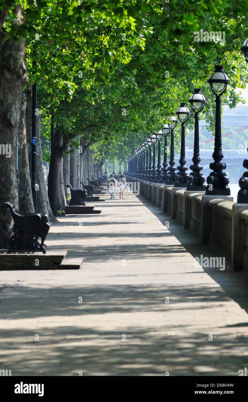 Chelsea Embankment, Kensington et Chelsea, Londres, Royaume-Uni Banque D'Images