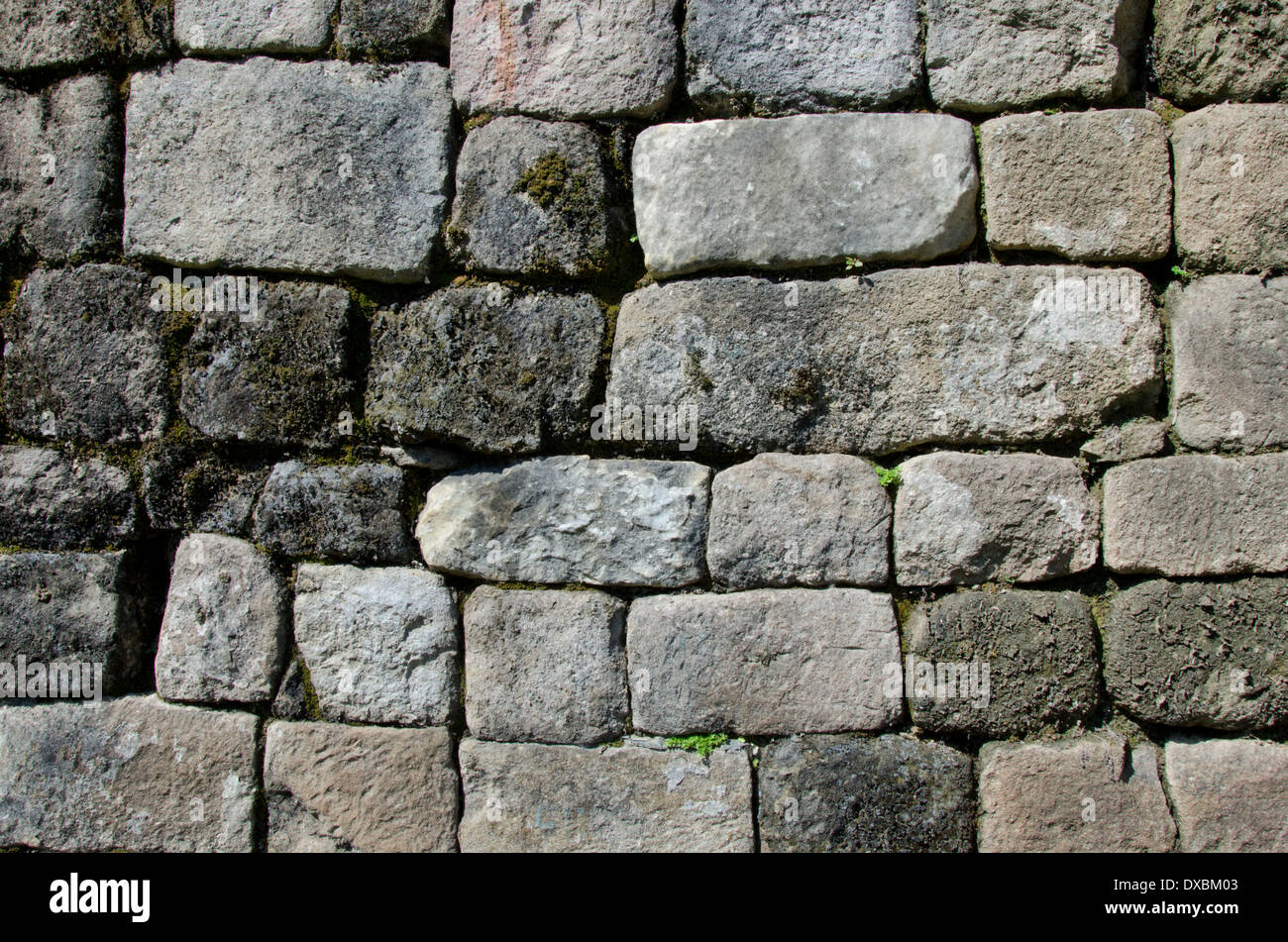 Le Guatemala, le Département d'Izabal, Quirigua Parc National. Site archéologique maya de la période Classique (200-900 AD). Banque D'Images