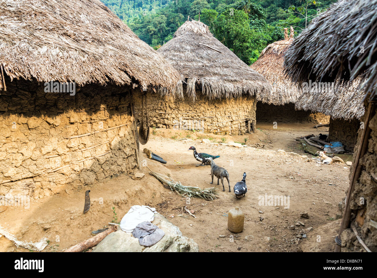 Village Kogui indigènes dans la Sierra Nevada de Santa Marta en Colombie Banque D'Images