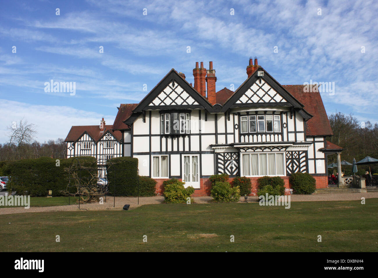 Petwood Banque de photographies et d’images à haute résolution - Alamy