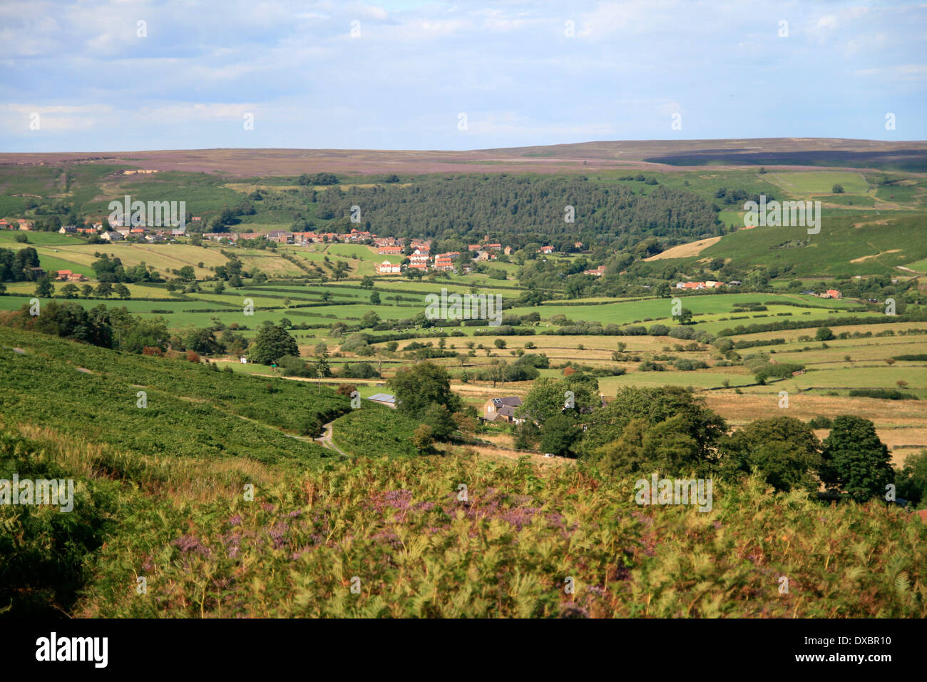 Castleton et Danby Dale de Castleton Rigg North Yorkshire UK Engdland Banque D'Images