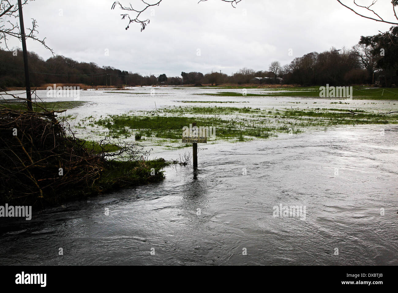 Inondations en Fontley-Titchfield rivière Meon, Hampshire, Angleterre - Février 2014 Banque D'Images