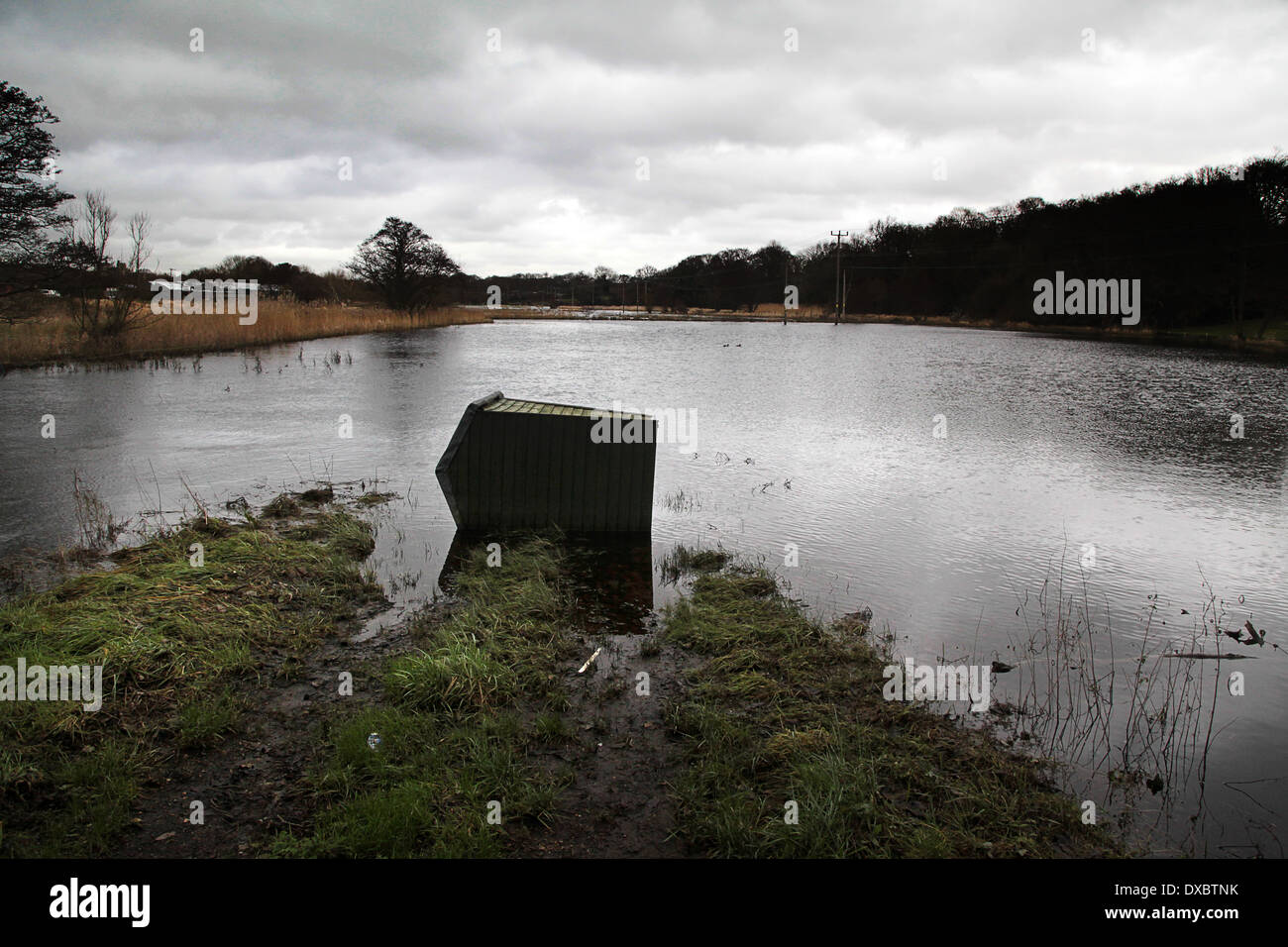 L'inondation dans la rivière Meon, Titchfield Hampshire, Angleterre - Février 2014 a renversé ; Abri de jardin en zone inondée. Banque D'Images