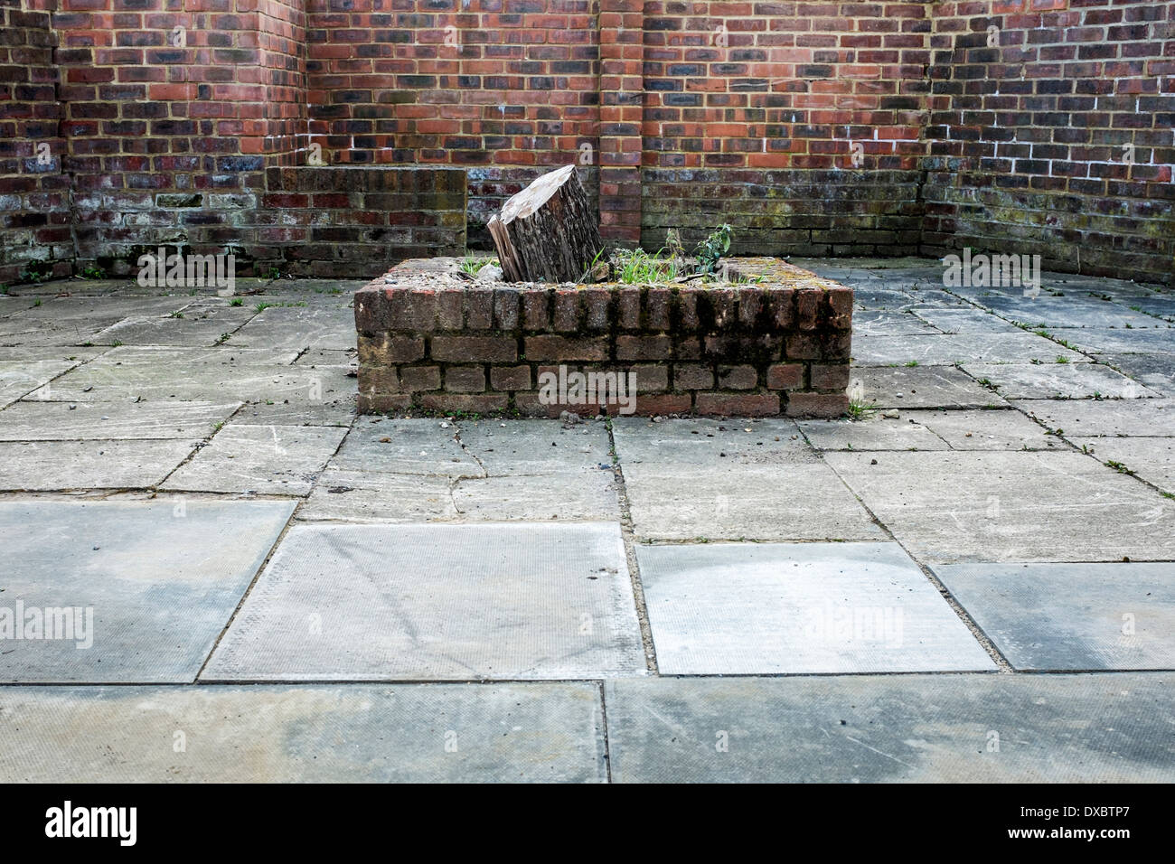 Semoir avec couper arbre et mur de brique -Twickenham, London, UK Banque D'Images
