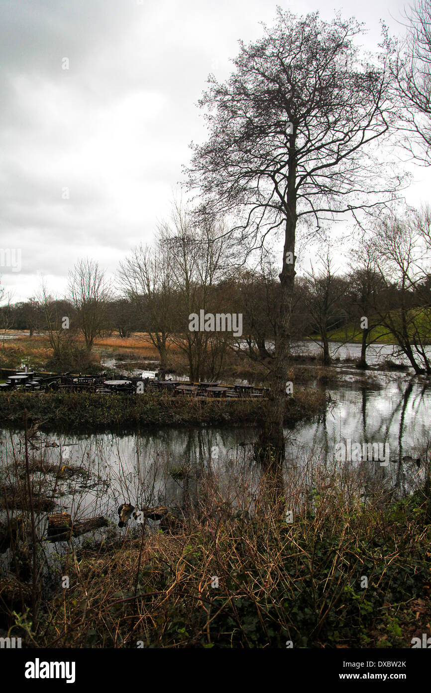 L'inondation dans la rivière Meon - Février 2014 - Puerto Plata Puerto Plata derrière Moulin, Hampshire, Angleterre Banque D'Images