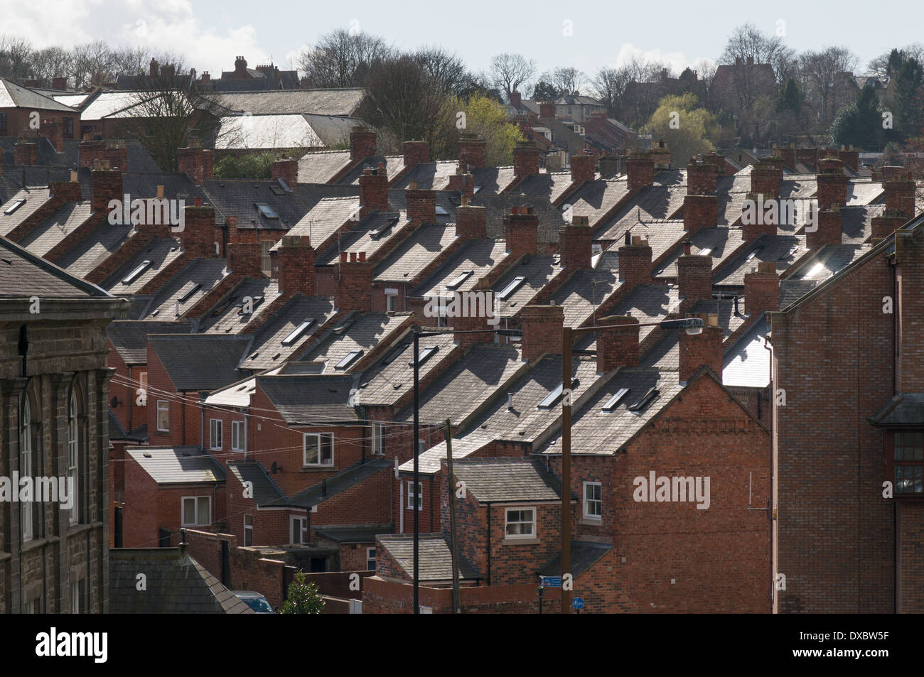 Lignes en pente des maisons en terrasse dans la ville de Durham North East England UK Banque D'Images