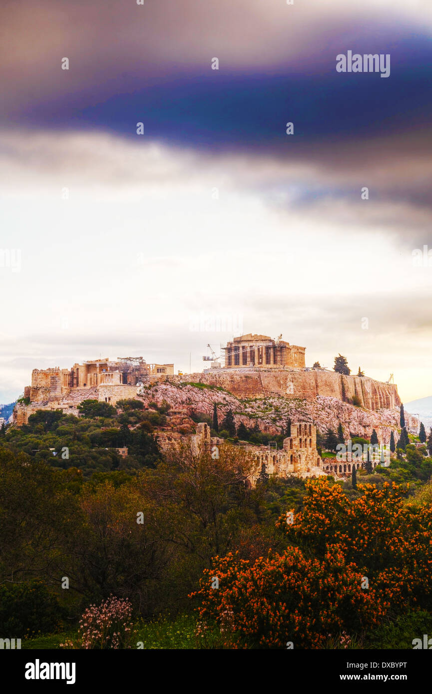 Acropole le matin après le lever du soleil à Athènes, Grèce Banque D'Images