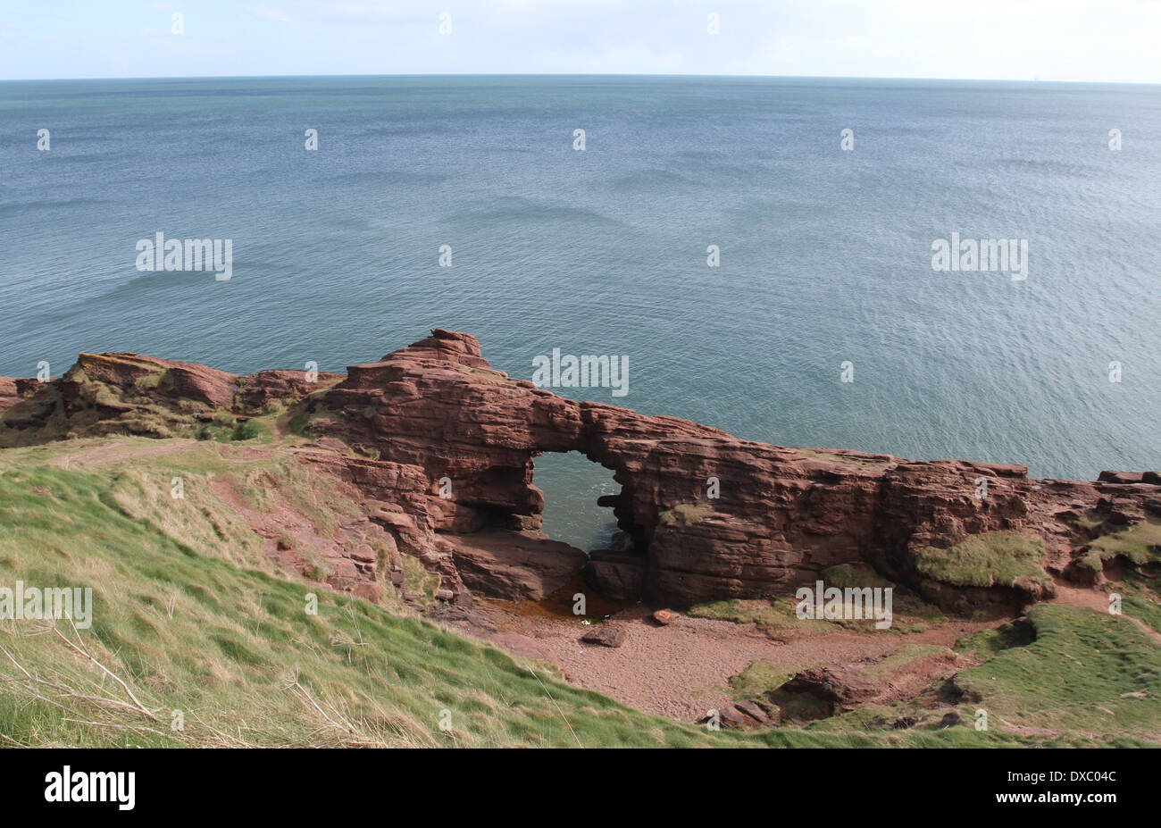 Aiguille de e'e rock arch dans le grès rouge des falaises seaton angus scotland mars 2014 Banque D'Images