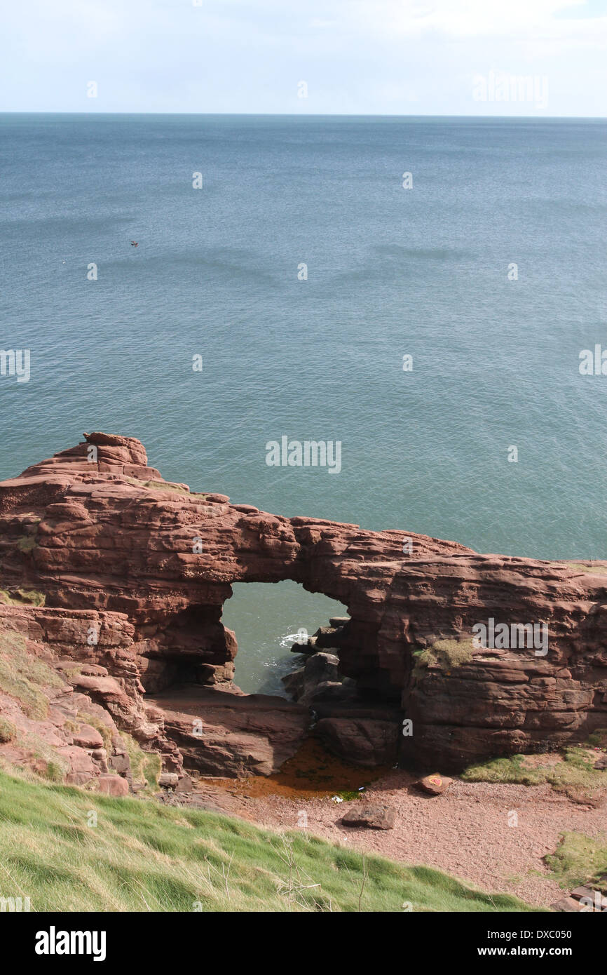 Aiguille de e'e rock arch dans le grès rouge des falaises seaton angus scotland mars 2014 Banque D'Images