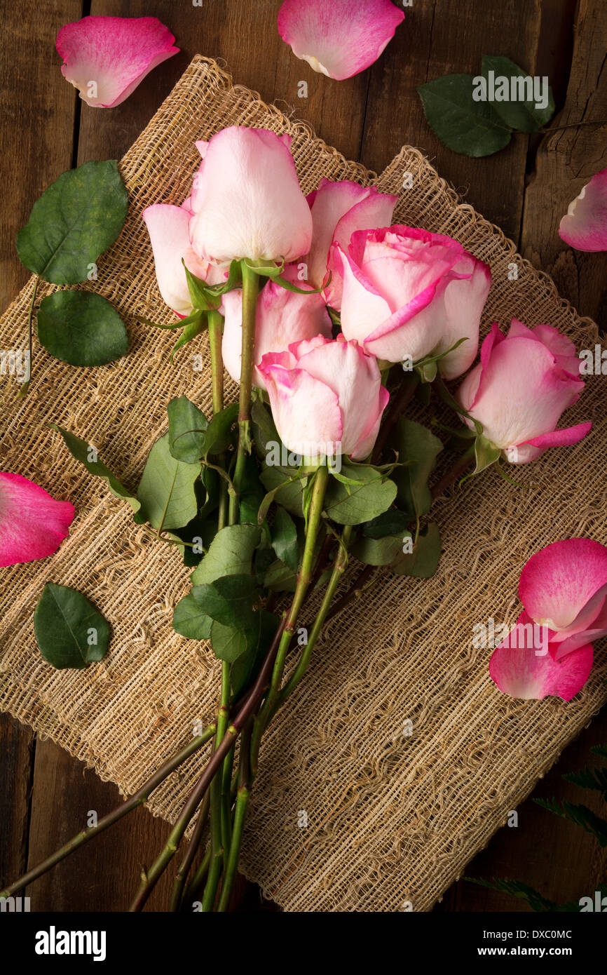 Roses rose sur de la toile de jute prêt à organiser en plongée des Banque D'Images