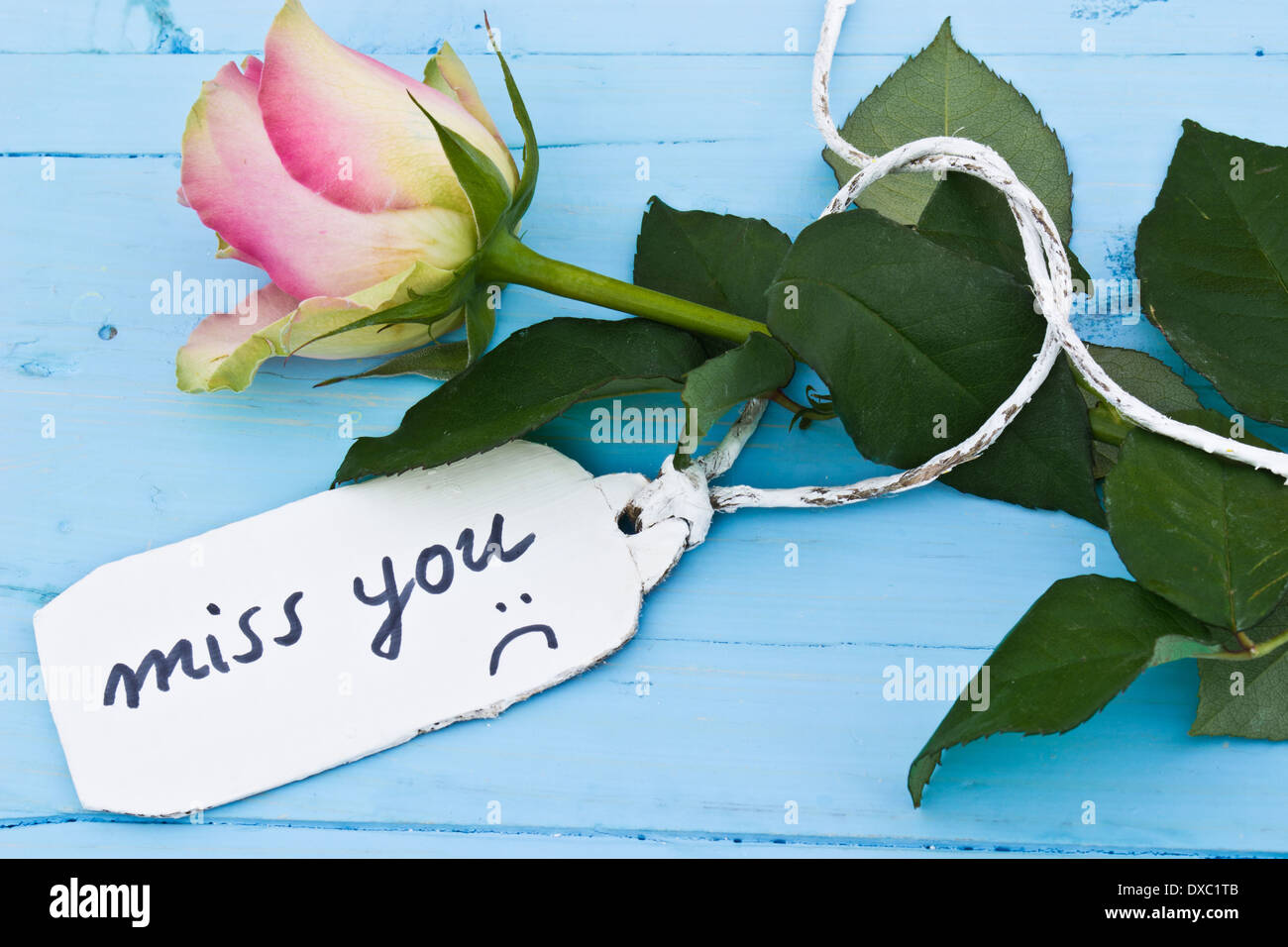 Une rose rose sur un fond bleu et une étiquette personnalisée disant 'Miss you'. Parfait pour les amoureux et pour la Saint Valentin. Banque D'Images