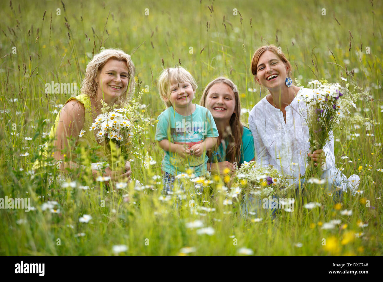 Cueillette de fleurs d'été de la famille dans le pré Banque D'Images