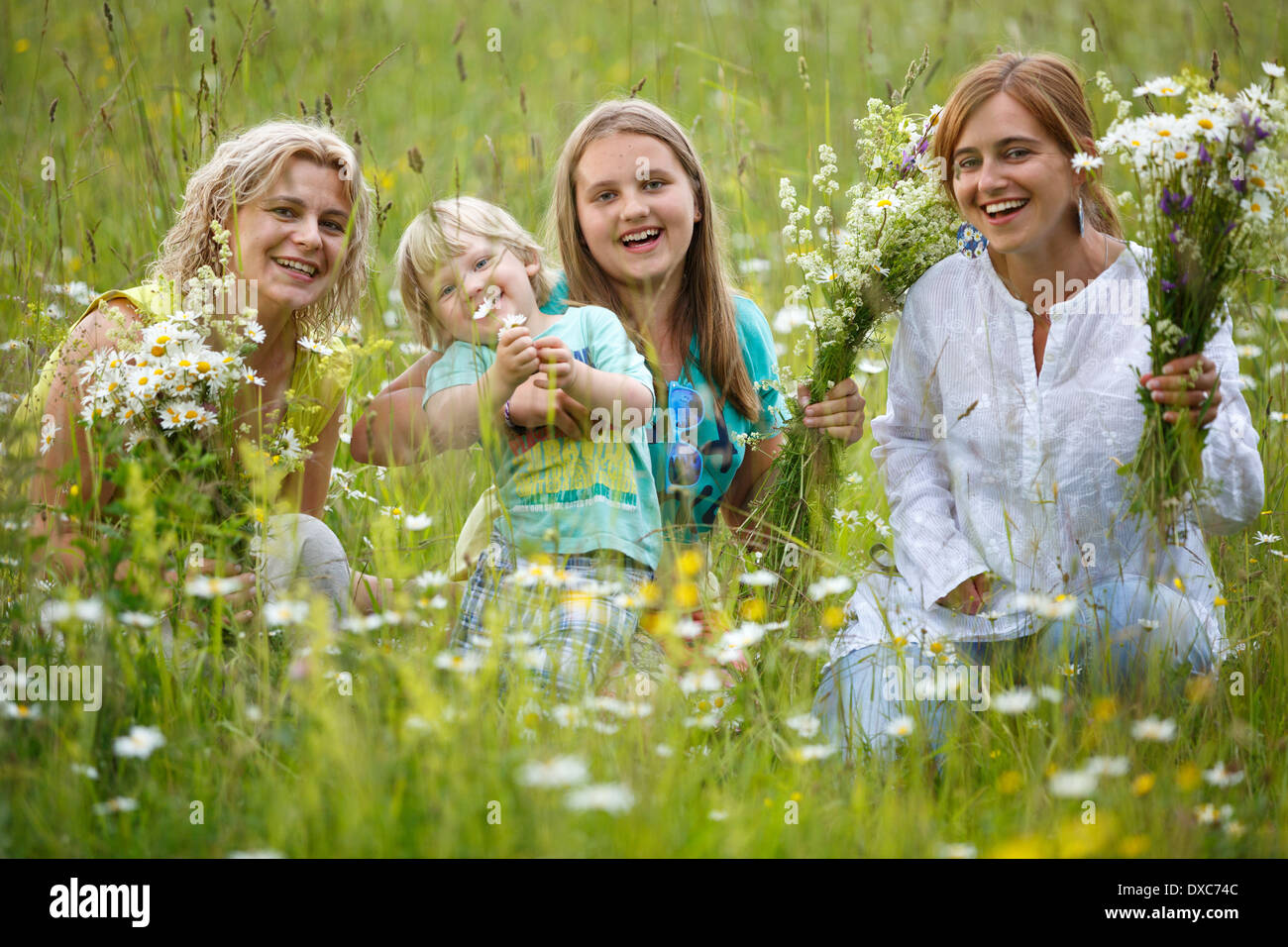 Cueillette de fleurs d'été de la famille dans le pré Banque D'Images