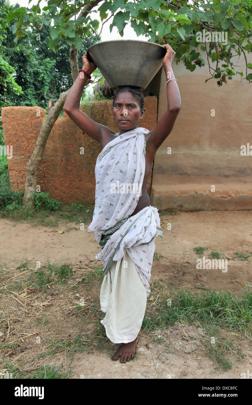 Femme Tribal blanc typique en sari avec panier sur la tête. Tribu Santhal, Hardidhekitand village, district de Jharkhand, Inde Bokaro Banque D'Images