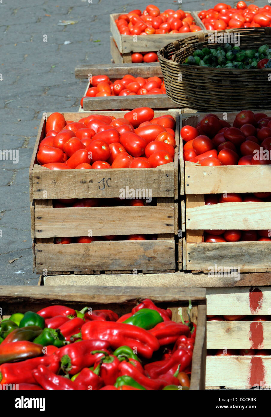 Boîtes de tomates et poivrons à la vente sur le marché aux légumes à Almolonga. San Pedro de Almolonga, République du Guatemala Banque D'Images
