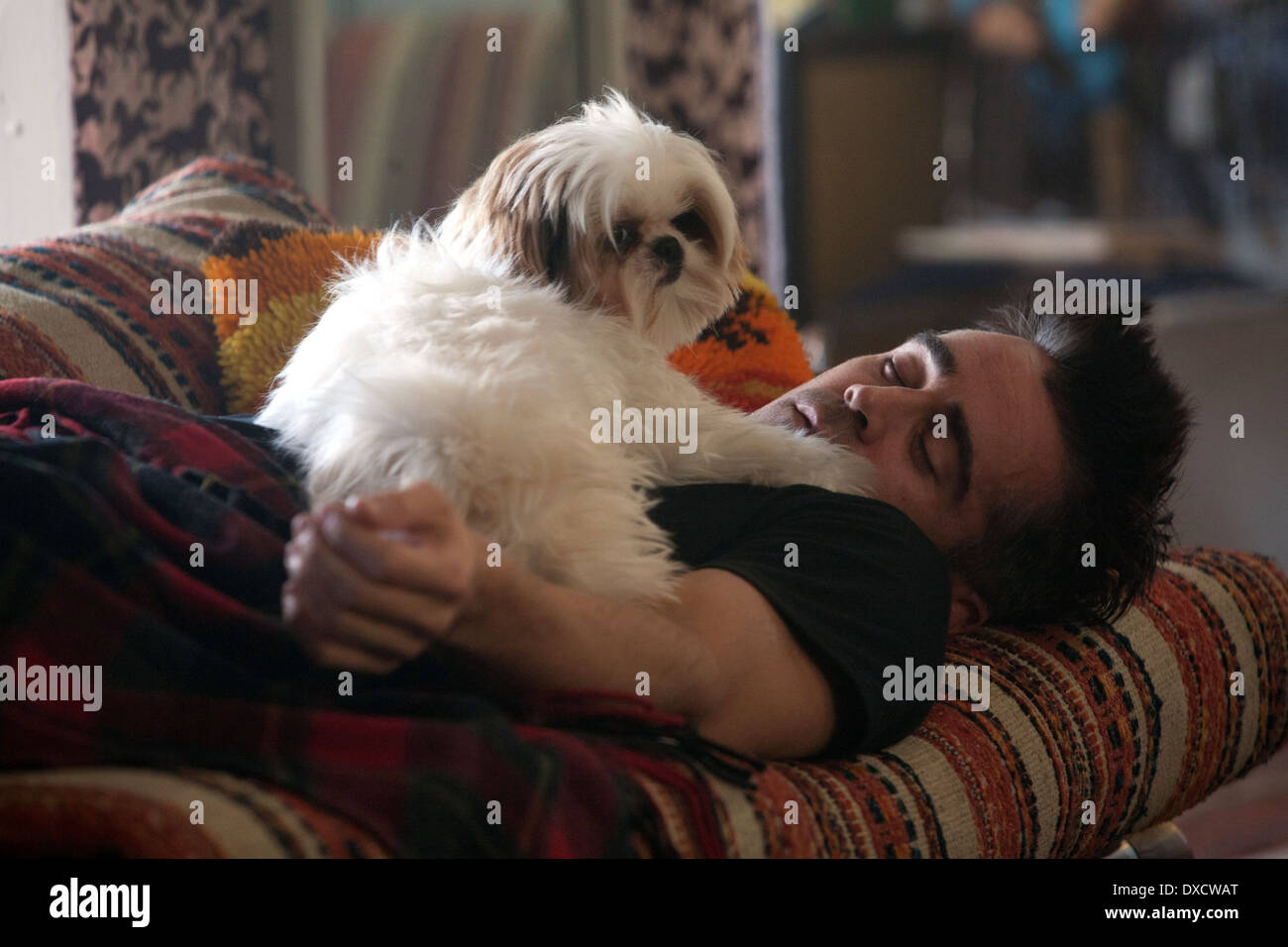 Sept psychopathes Banque D'Images