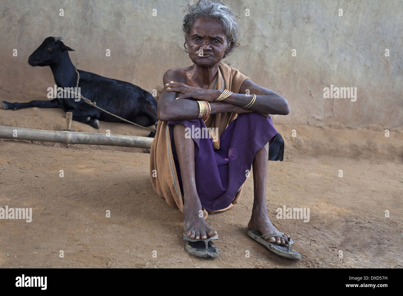 Portrait d'une femme de tribu. Soren tribu. Jamuniatand, village du district de Bokaro, Jharkhand Banque D'Images