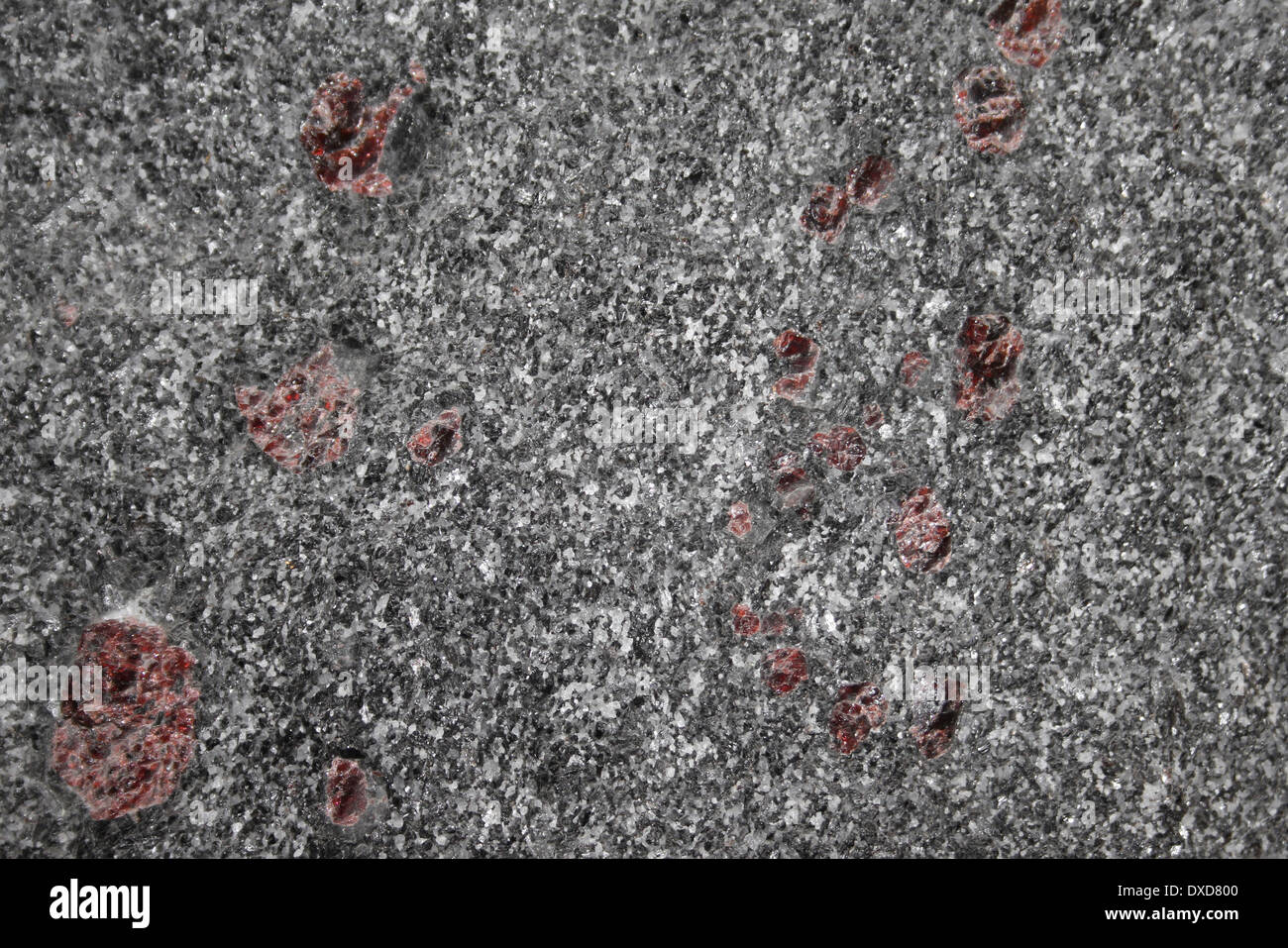 L'Almandin (gneiss & hornblende) Tvedestrand, précambrien de la Norvège Banque D'Images