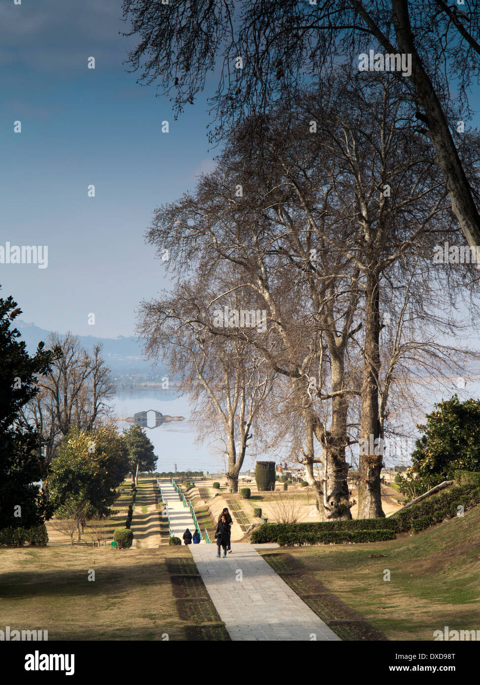 L'Inde, au Cachemire, Srinagar, Nishat Bagh, jardin de joie sur les rives du lac Dal Banque D'Images