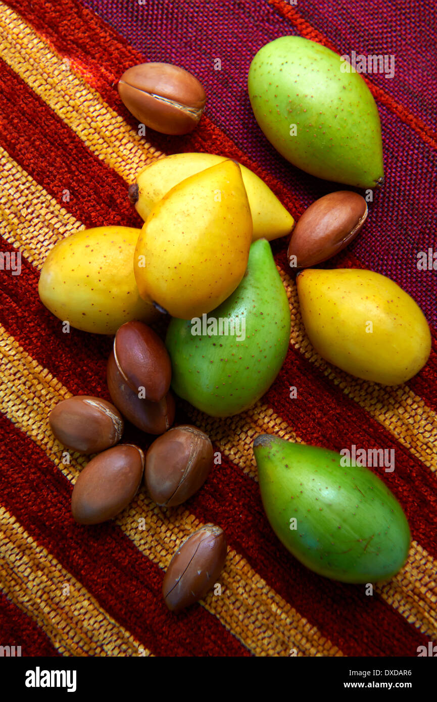 Les écrous d'Argan douce avec l'skins et les écrous d'Argan dans leur coquille. Banque D'Images