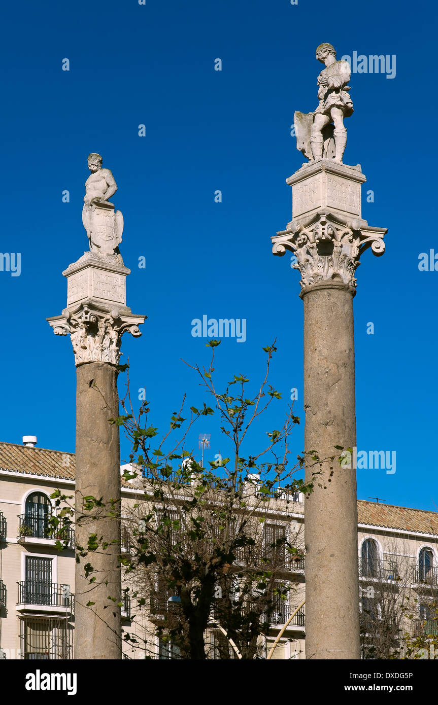 Colonnes romaines, Alameda de Hercules, promenade, Séville, Andalousie, Espagne, Europe Banque D'Images