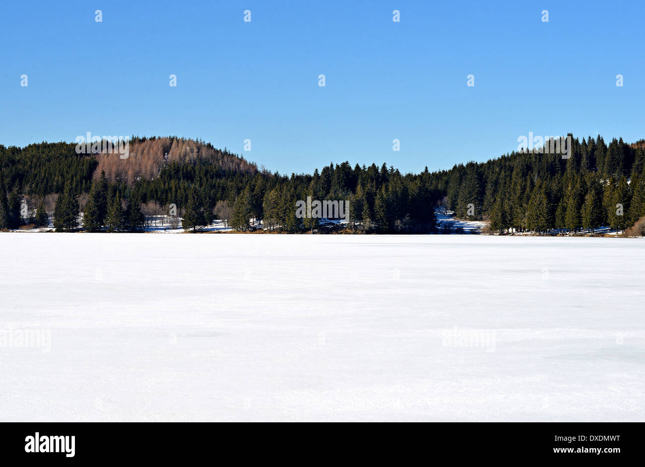 Lac de Guery en hiver, Puy-de-Dôme, Auvergne, Massif-Central, France Banque D'Images