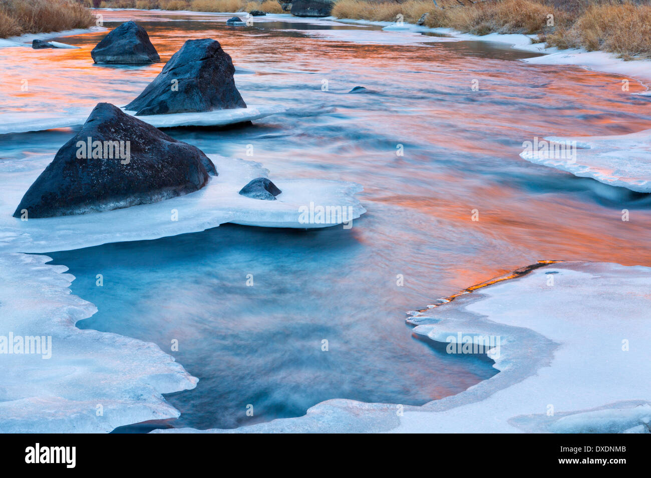 Smith Rocks reflétant l'or sur la glace sur la rivière Crooked en hiver. De l'Oregon. USA Banque D'Images