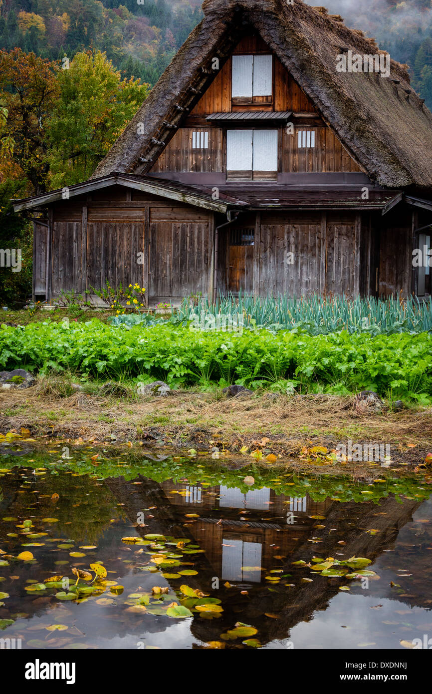 Maison à toit de chaume traditionnel Shirakawa-go, Japon Banque D'Images