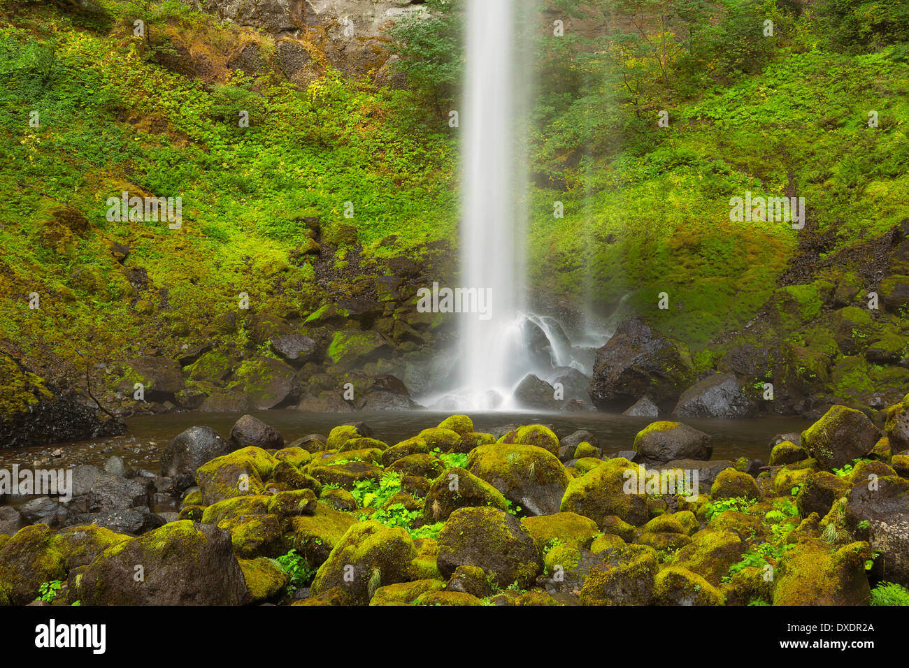 Elowah Falls dans la gorge du Columbia National Scenic Area. De l'automne. De l'Oregon. USA Banque D'Images