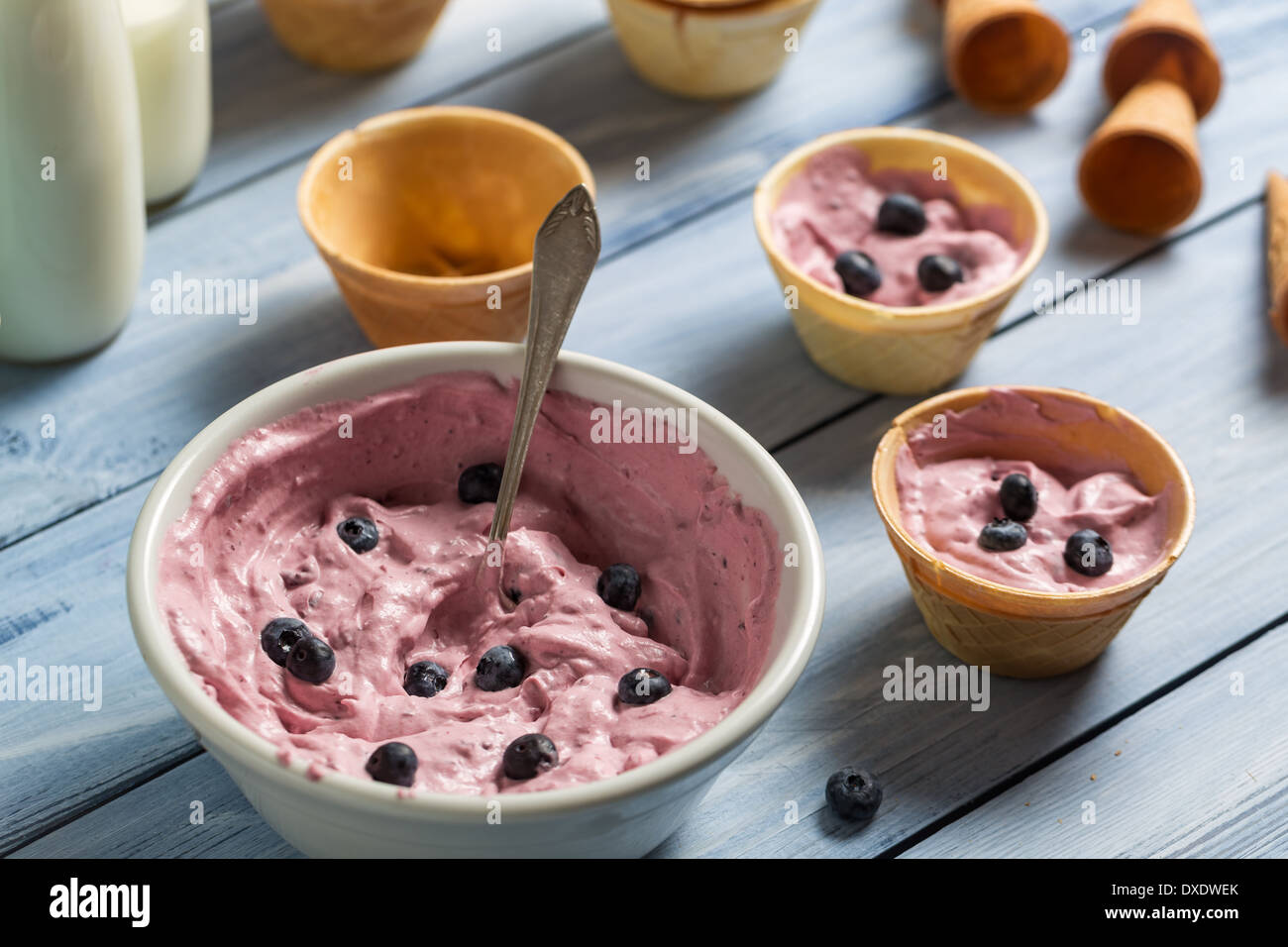 La crème glacée faite maison avec du yogourt aux bleuets Banque D'Images