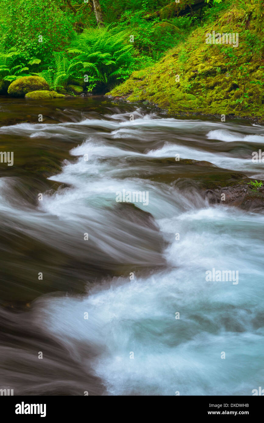 Une longue exposition de Tanner Creek, Oregon, USA Banque D'Images