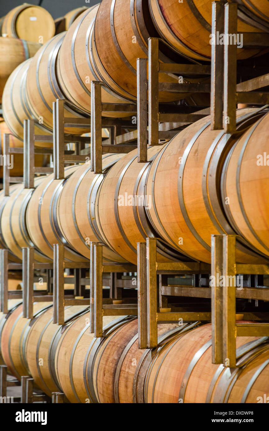 Des tonneaux de vin sur une grille dans une cave. Banque D'Images