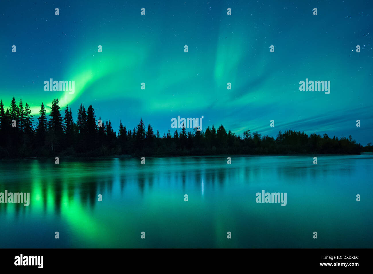Les aurores boréales au cours de la rivière Klondike, Yukon, Canada Banque D'Images