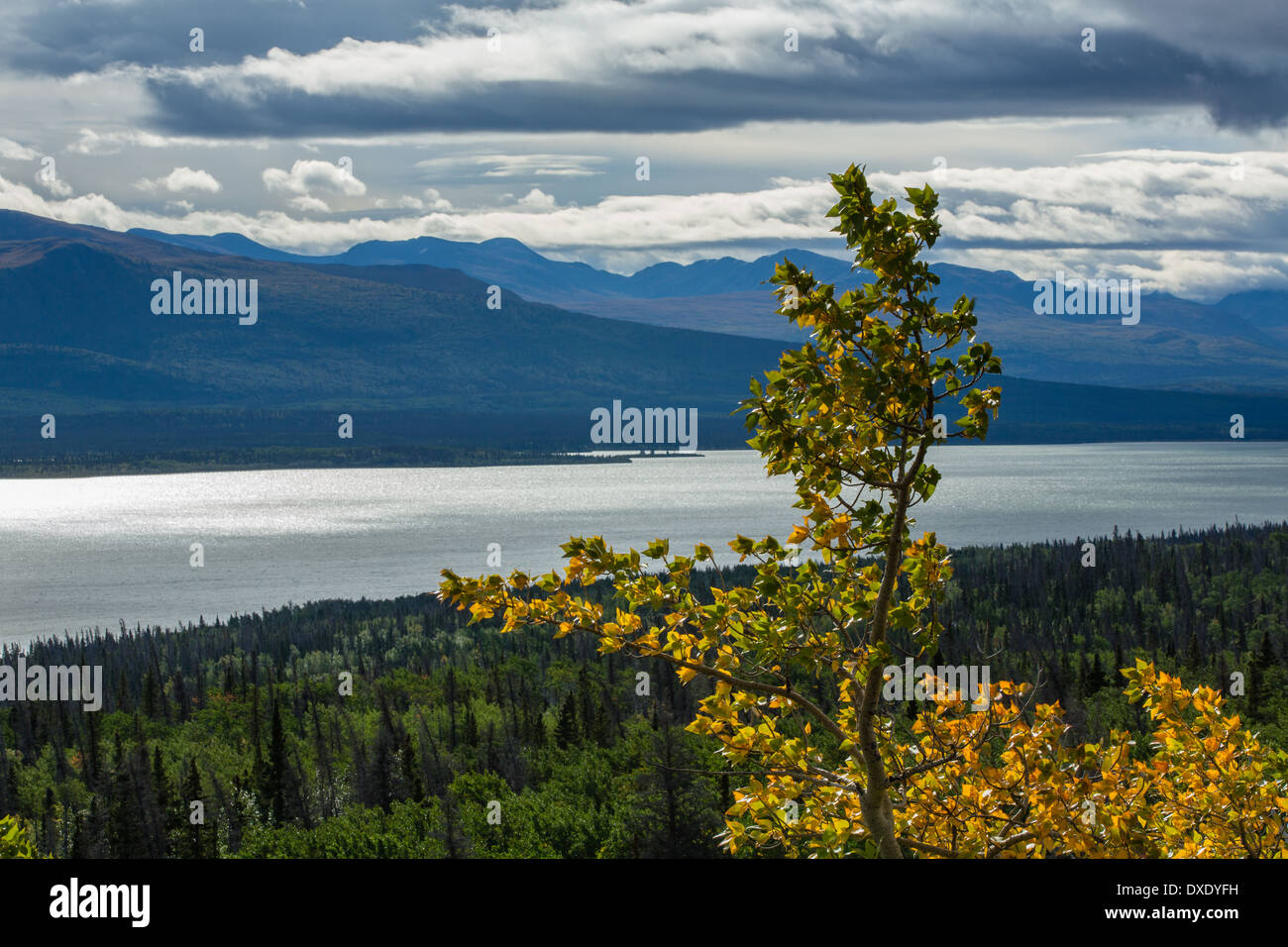 Le lac Dezadeash, Territoire du Yukon, Canada Banque D'Images
