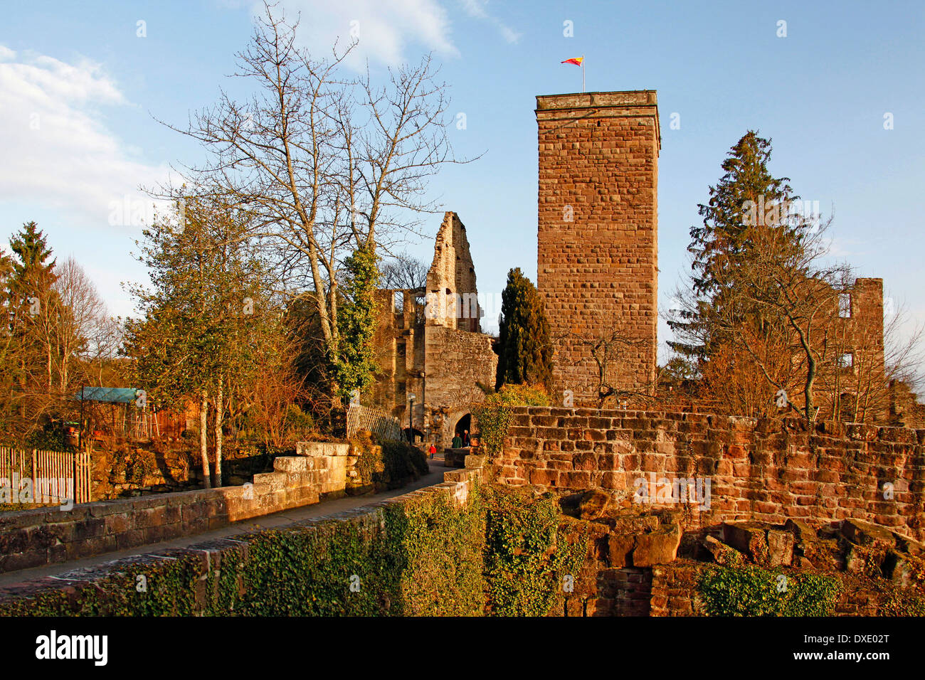 Ruines du château, Bad Teinach-Zavelstein Zavelstein, district, Calw, Forêt-Noire, Bade-Wurtemberg, Allemagne Banque D'Images