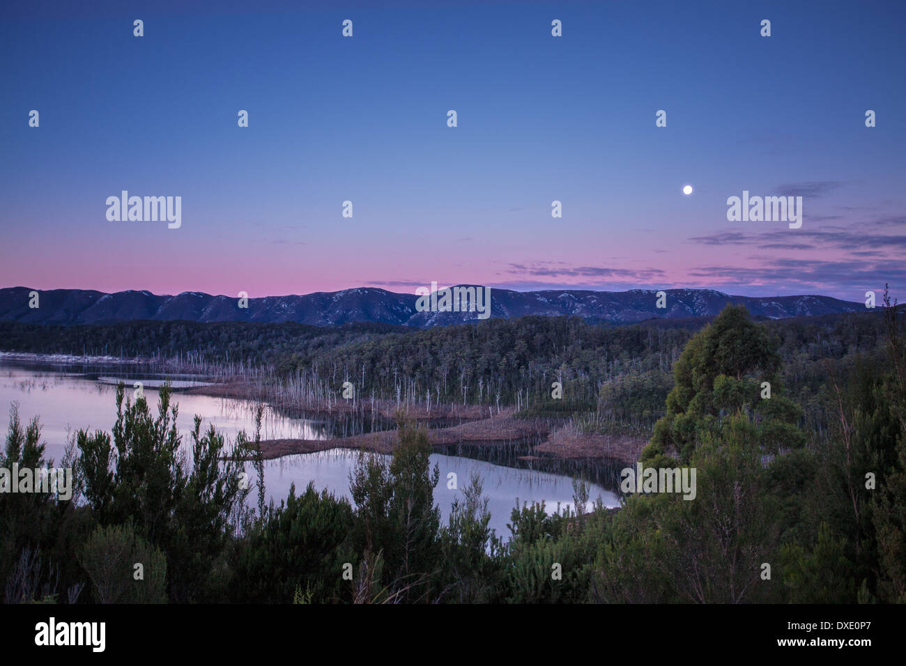 La Tasmanie, Australie Banque D'Images