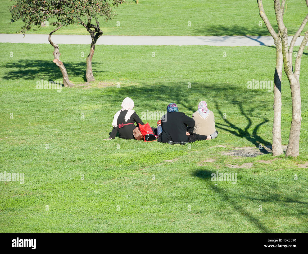 Trois femmes turques musulmanes s'assit sur l'herbe en parc ayant un pique-nique Banque D'Images