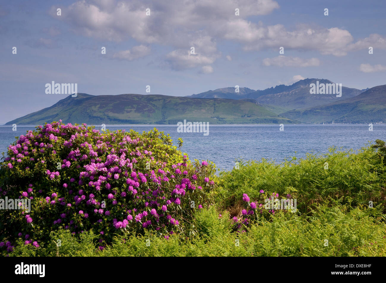 Vers l'île d'Arran, Skipness de Kintyre. Banque D'Images