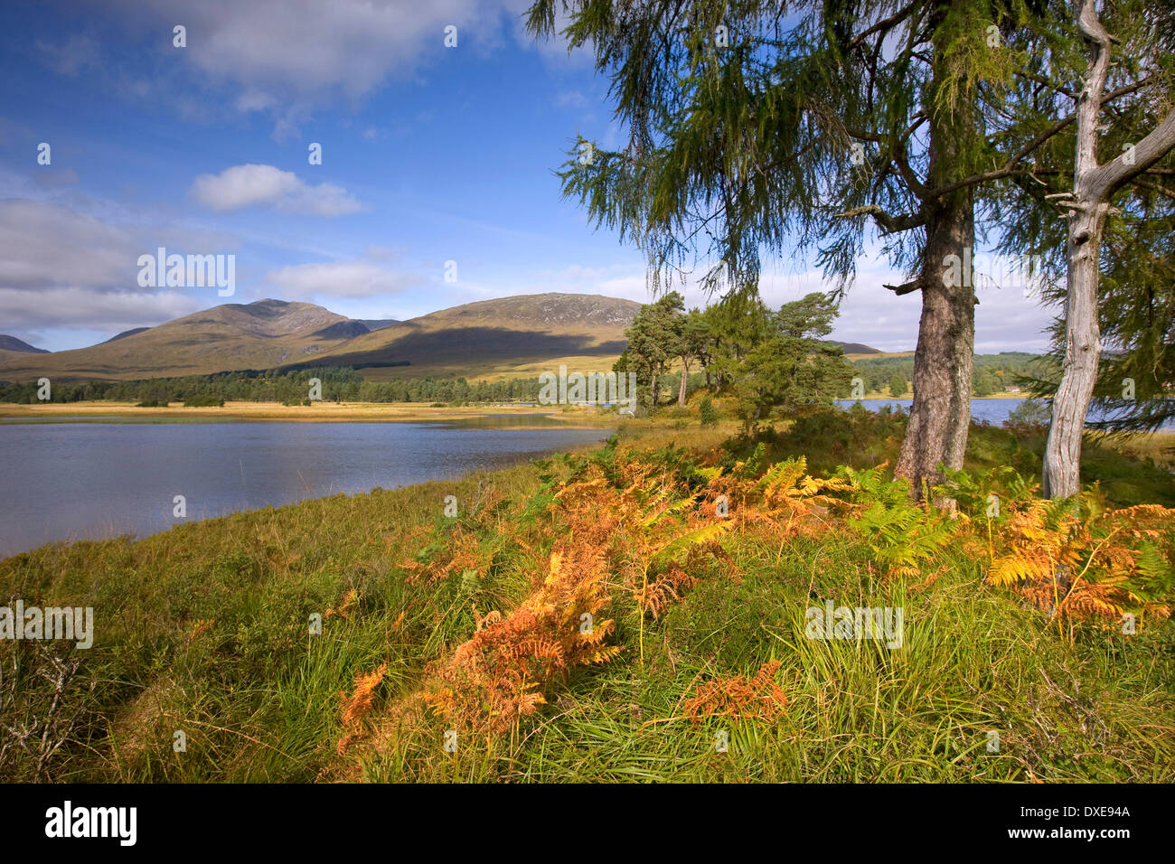 Au début de l'automne sur le Loch Tulla avec Blackmount en vue, à l'ouest des Highlands. Banque D'Images