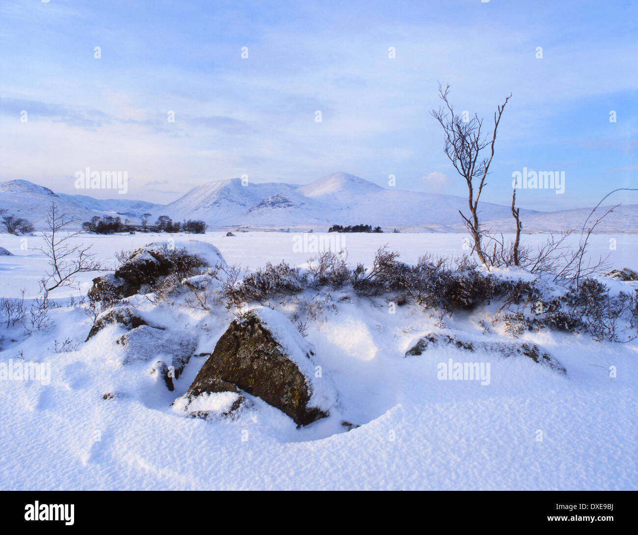 Winter Wonderland sur Rannoch Moor,west highlands Banque D'Images