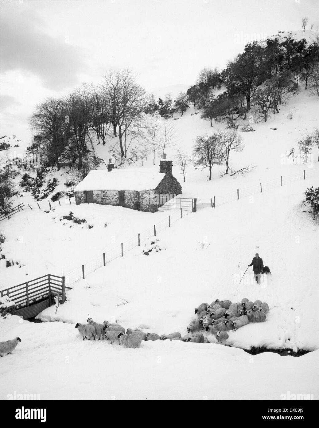 Croft, hiver, Argyll Argyll du Nord Banque D'Images