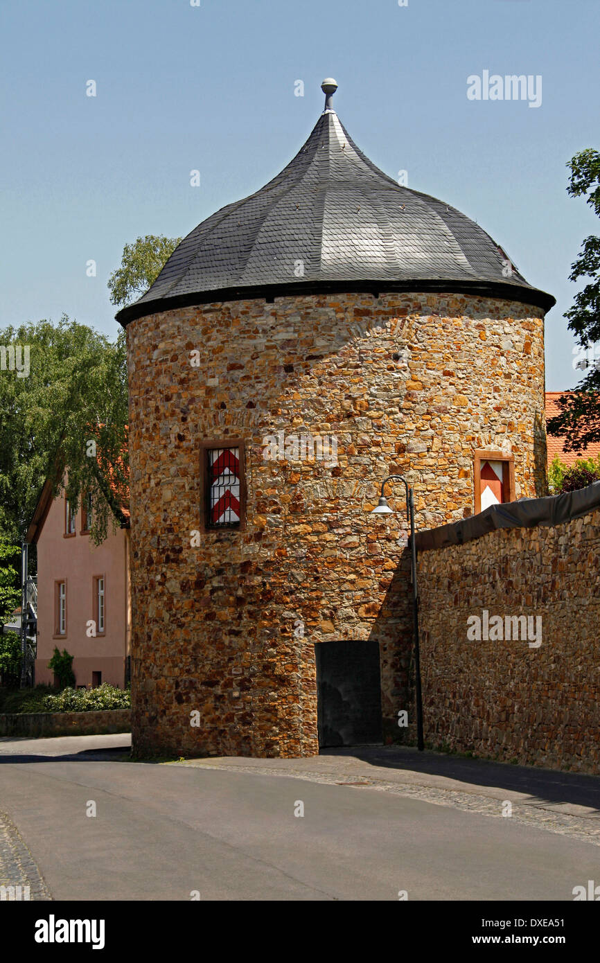 Tour de Château de Frankenstein, Ockstadt, district de Friedberg, Hesse, Allemagne Banque D'Images