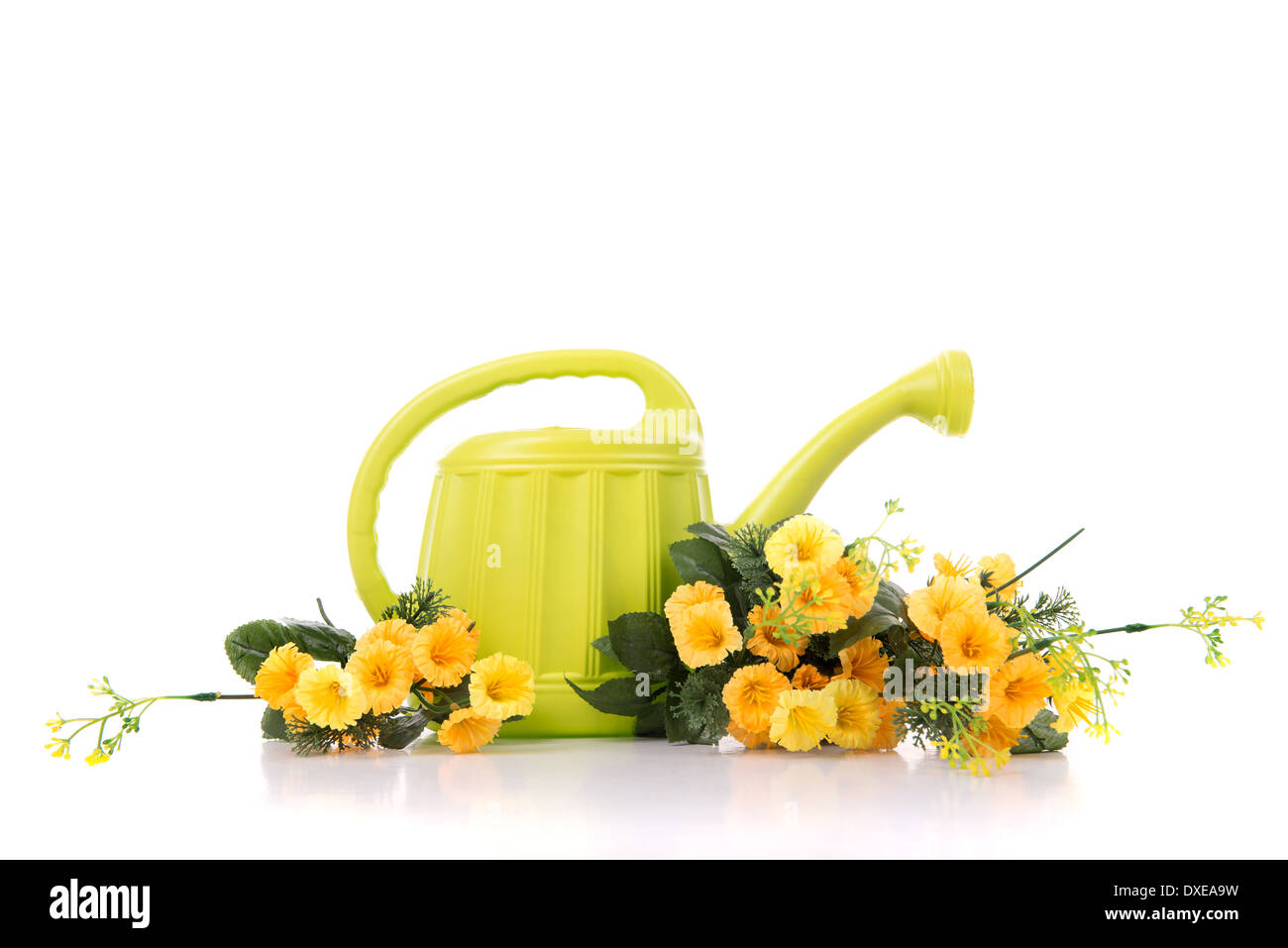 Arrosoir vert clair avec des fleurs jaunes Banque D'Images