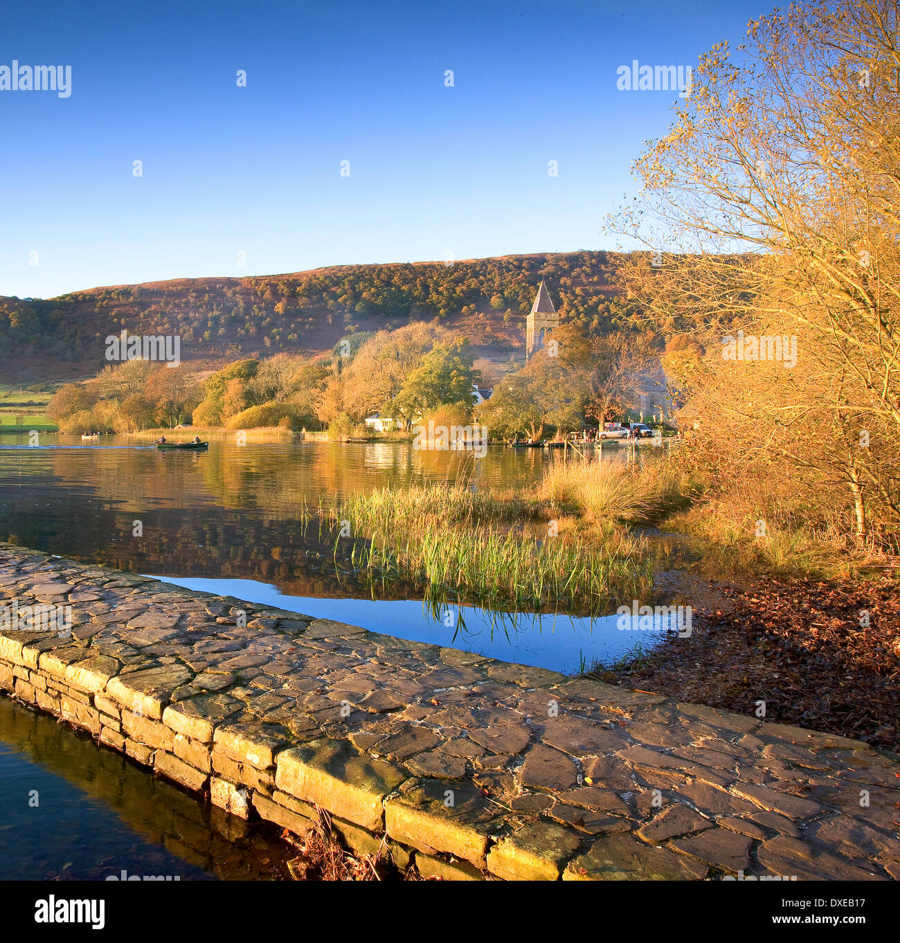 L'automne vue du Port de Menteith, Trossachs. Banque D'Images