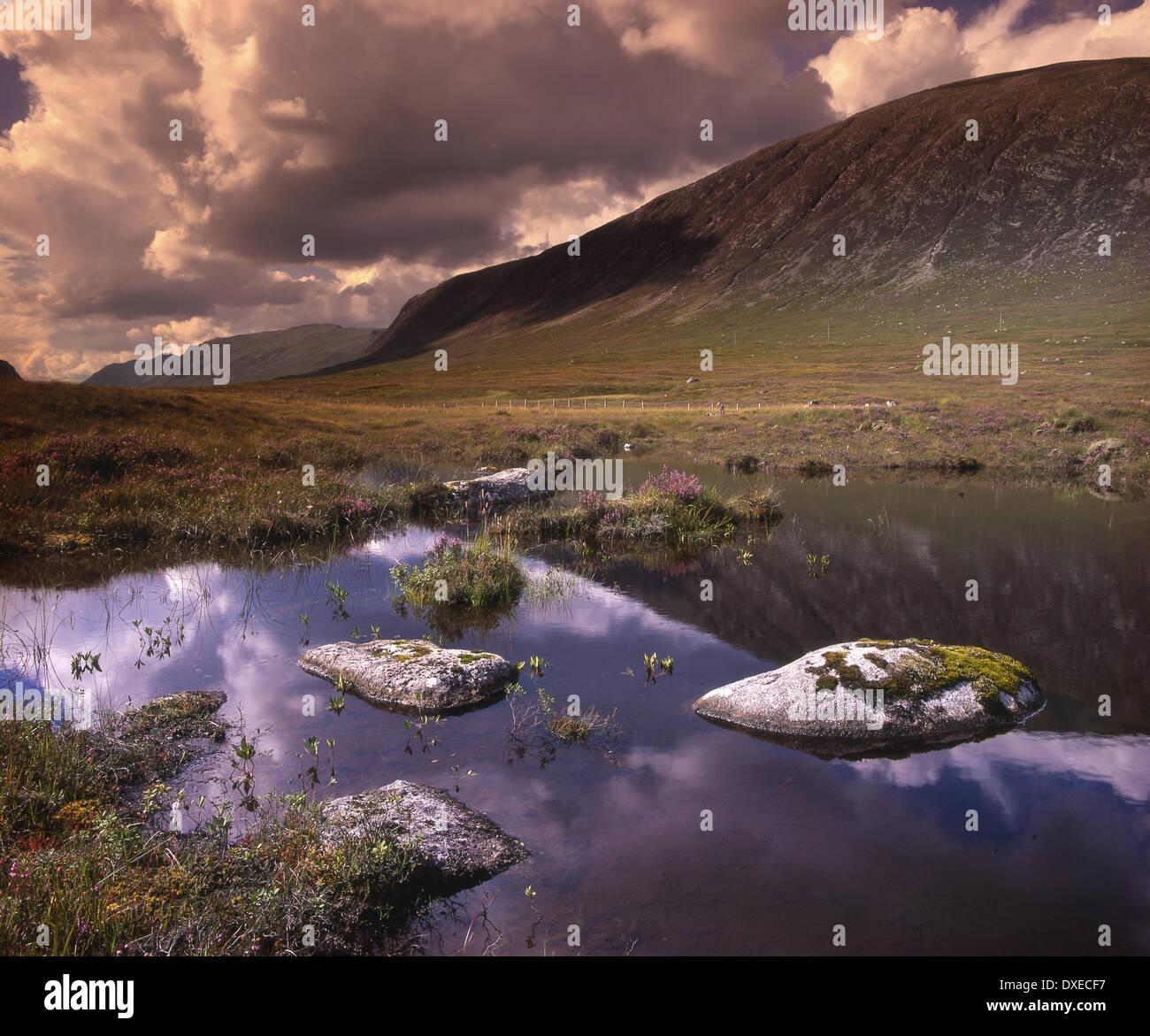 Lumière dramatique sur Rannoch Moor nr Kingshouse, Glencoe, West Highlands. Banque D'Images