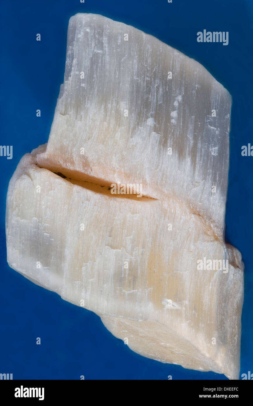 Échantillon de matières fibreuses du sulfate de calcium (gypse) debyshire Banque D'Images
